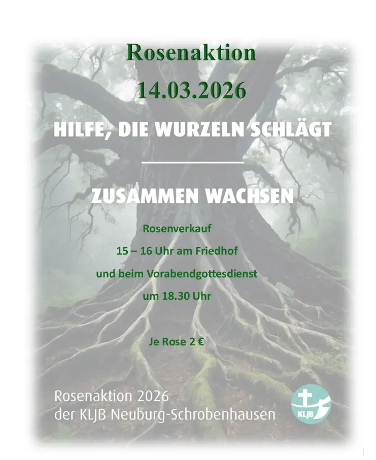 2026-03-12_15-29-40-screenshot_4