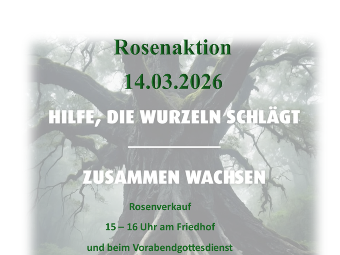 2026-03-12_15-29-40-screenshot_4